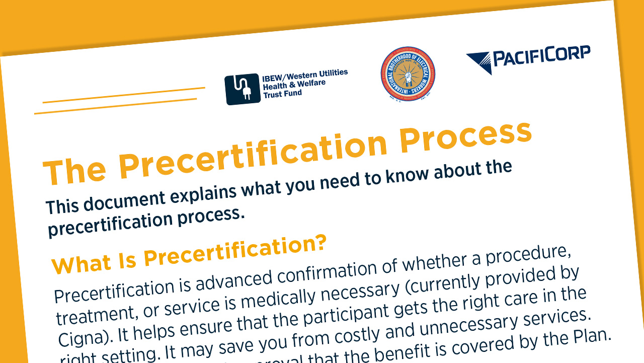 The Precertification Process PDF